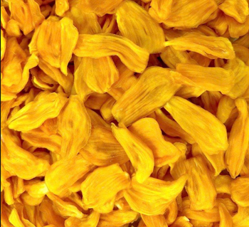 Soft Dried Jackfruits  Color Yellow Shelf Life 6 months Max. Moisture (%) 18- 22 Material Fresh Jackfruits Certification ISO, Haccp, - LE GIA GROUP IMPORT EXPORT COMPANY LIMITED
 - Vietnam